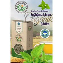 Anadolunun Özü Melisa Çayı | Sakinleştirici Etki • Uyku Öncesi İçim | Organik