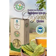 Anadolunun Özü Defne Yaprağı Çayı | Sindirim & Şişkinlik Destekleyici