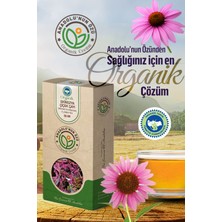 Anadolunun Özü Ekinezya Çiçeği Çayı | Bağışıklık Destekleyici • Kış Dönemi Kullanıma Uygun |