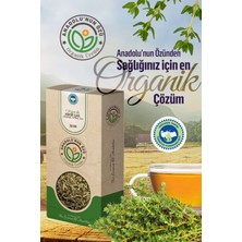 Anadolunun Özü Kekik Çayı | Sindirim & Gaz Destekleyici • Yoğun Aromalı | Organik