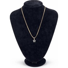 Pangu Taşlı Yıldız Figürlü Çelik Kolye