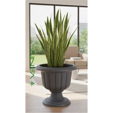 Veniv Dekoratif Estetik Saksı - 9.8 L Antrasit