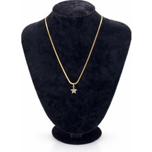 Pangu Altın Renk Yıldız Figürlü Taşlı Çelik Kolye