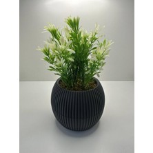 PremiumPort Mini Saksıda Afrika Zambağı Yapay Bitki, Dekoratif 18 cm Taş Yosunlu