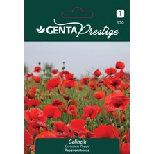Genta Prestige Gelincik Çiçek Tohumu