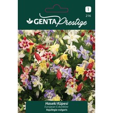 Genta Prestige Haseki Küpesi Çiçek Tohumu