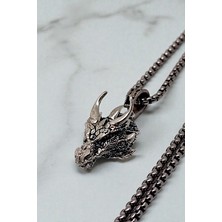 Ak Store Silver Erkek, Ejderha Başı (Dragon) Figürlü Fantastik K-179 Paslanmaz Kromix Çelik Gümüş Kaplama Kolye