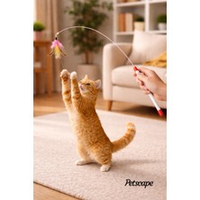 Petscape Kedi Oltası Oyuncağı Doğal Tüy Interaktif Tüylü Kedi Oyuncağı Kedi Tüy Oltası Eğlenceli