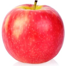 Ahal Fidan Çok Verimli Pink Lady Elma Fidanı