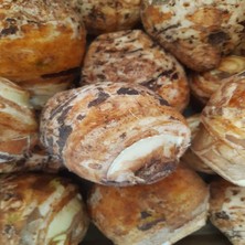 Kolakas Gölevez 4 kg