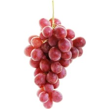 Ahal Fidan Hobicilere Özel Red Globe Üzüm Fidanı