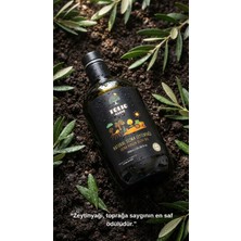 Tolio Olive 2025-26 750 ml Erken Hasat Soğuk Sıkım Naturel Sızma Zeytinyağ