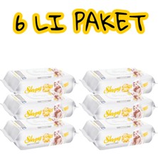 Sleepy Sensitive Islak Bebek Havlusu 6X50 (300 Yaprak) | Alkolsüz, Kapaklı, Hassas Ciltlere Uygun