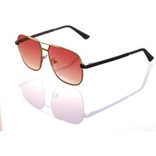 Ar Collection Plus Erkek Metal Güneş Gözlüğü AR235 C16