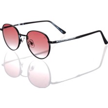 Ar Collection Plus Unısex Metal Güneş Gözlüğü AR261 C2