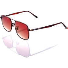 Ar Collection Plus Erkek Metal Güneş Gözlüğü AR234 C53