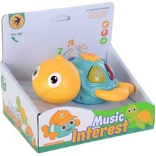 Kiddico Toys Müzikli Küçük Deniz Kaplumbağası