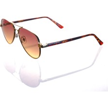 Ar Collection Plus Erkek Metal Güneş Gözlüğü AR310 C3