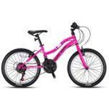 Feyza Design Parlak Pembe/eflatun 26 Jant Mtb, 15" - 21 Vites, Kadın Bisikleti