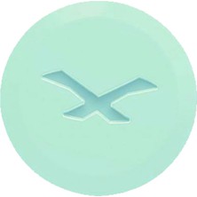  Nexx Sx.10 Yan Kapak Vidası