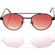 Ar Collection Plus Unısex Metal Güneş Gözlüğü AR317 C53