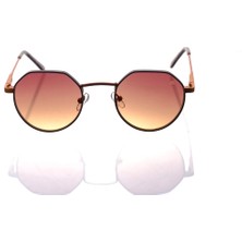 Ar Collection Plus Unısex Metal Güneş Gözlüğü AR236 C52