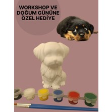 Vitrin XL Köpek 3D Figür Boyama Seti