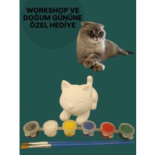 Vitrin XL Kedi 3D Figür Boyama Seti