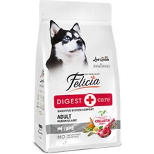Felicia Hipoalerjenik Adult Medium Kuzulu Düşük Tahıllı Orta Irk Yetişkin Köpek Maması 6 kg