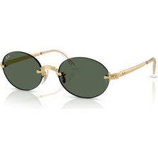 Ray-Ban Rayban 3929 001/71 54 Kadın Güneş Gözlüğü