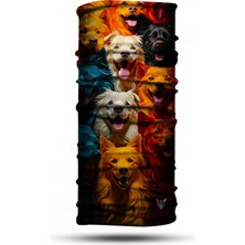  Vexo Bandana Dog