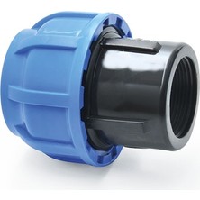 Mavi Kaplin Dişi ( Iç Dişli )