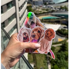 Kişiye Özel Holografik Evcil Hayvan Sticker Seti (4’lü)