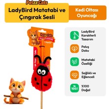 Petzzcats Ladybird Matatabi ve Çıngırak Sesli Kedi Oltası Oyuncağı Kırmızı/siyah 42 cm