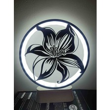 Kamer LED Işıklı