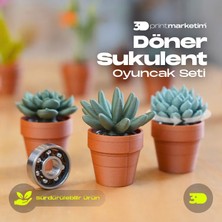3D Print Marketim Dönen Sukulent Oyuncak Seti