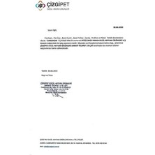 Lionpet Kedi ve Köpek Tüy Toplama Topu 2 Adet