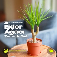 3D Print Marketim Ejder Ağacı Temizlik Seti, Fırça ve Kürek Seti, Aksesuar ve Temizlik Fırçası