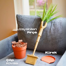 3D Print Marketim Ejder Ağacı Temizlik Seti, Fırça ve Kürek Seti, Aksesuar ve Temizlik Fırçası