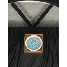 Lilith Candles Taş Obje Içinde Incili Jel Tasarım Mum - Söz, Nişan, Düğün ve Baby Shower Hatırası