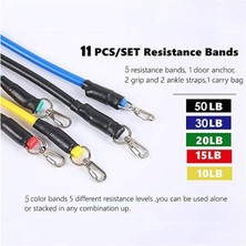 PremiumPort Sağlam ve Esnek 5'li Egzersiz Çalışma Lastiği Seti, Farklı Antrenmanlar Için Ideal