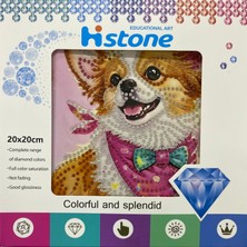 Elegantshop 5d Yapışan Boncuk Goblen Mozaik Tablo Pano 20*20 cm Fino