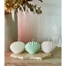 NİLCANDLE 4'lü Deniz Kabuğu Şeklinde El Yapımı Soya Mumu | Dekoratif ve Doğal Kokulu – Minimal Ev Dekoru