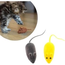 VeraGlobe Buğz 2li Evcil Hayvan Eğitim Sevimli Elastik Kedi Fare Yakalama Interaktif Sesli Eğitim Oyuncağı