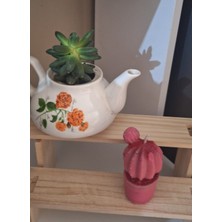 Mitos Space Pembe Saksılı Kaktüs Mum