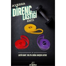 PremiumPort Çoklu Direnç Lastiği Seti, 3'lü, 20/30/40 Kg, Ev ve Spor Için