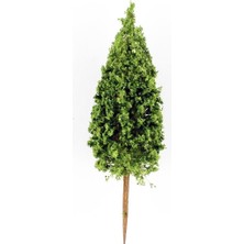 Hobbytime 5 Cm. Doğu Karadeniz Göknar Ağacı Modeli, 5 Adet