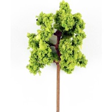 Hobbytime 5 Cm. Yuvarlak Formlu Bahar Yeşili Ağacı Modeli, 5 Adet