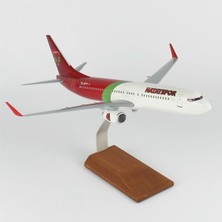 THY036 1/100 Ölçek, Thy Hatay Spor Logolu B737-800 Yolcu Uçağı, Sergilemeye Hazır Ahşap Standlı Model