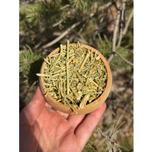 Tribülüs Çoban Çökerten